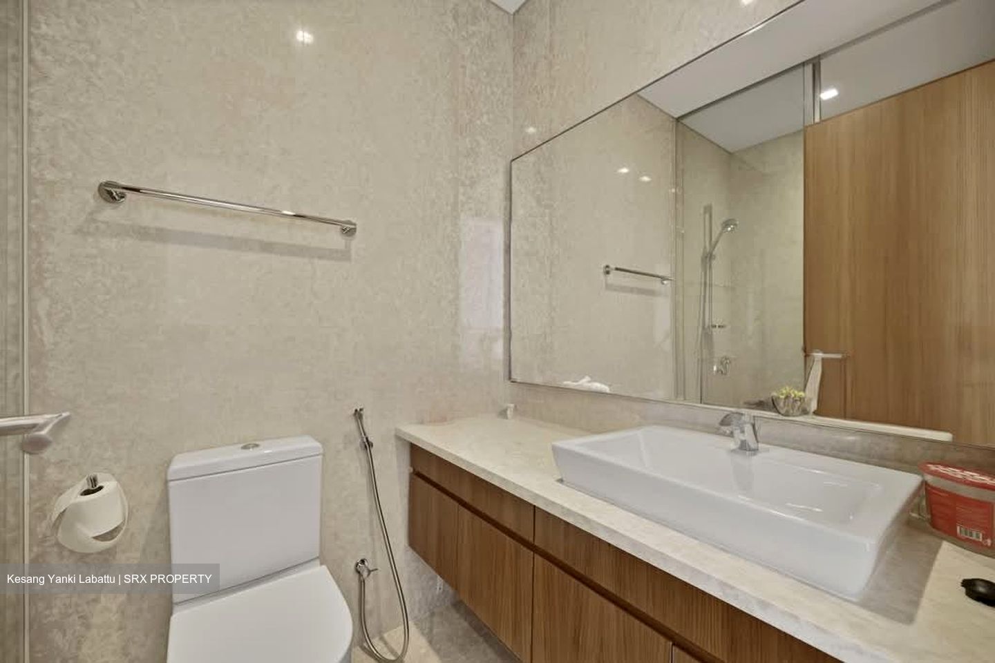 Skyline @ Orchard Boulevard (D9), Apartment #540757781